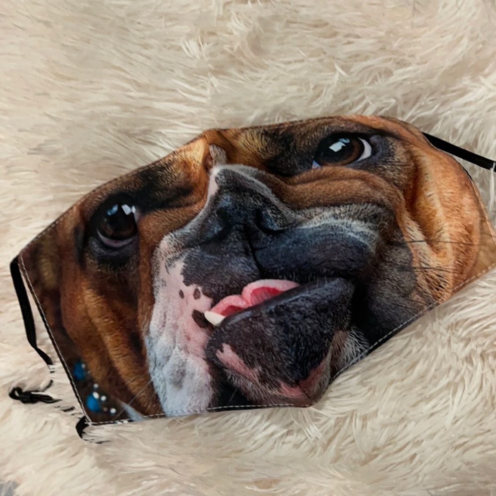 New Bulldog face mask